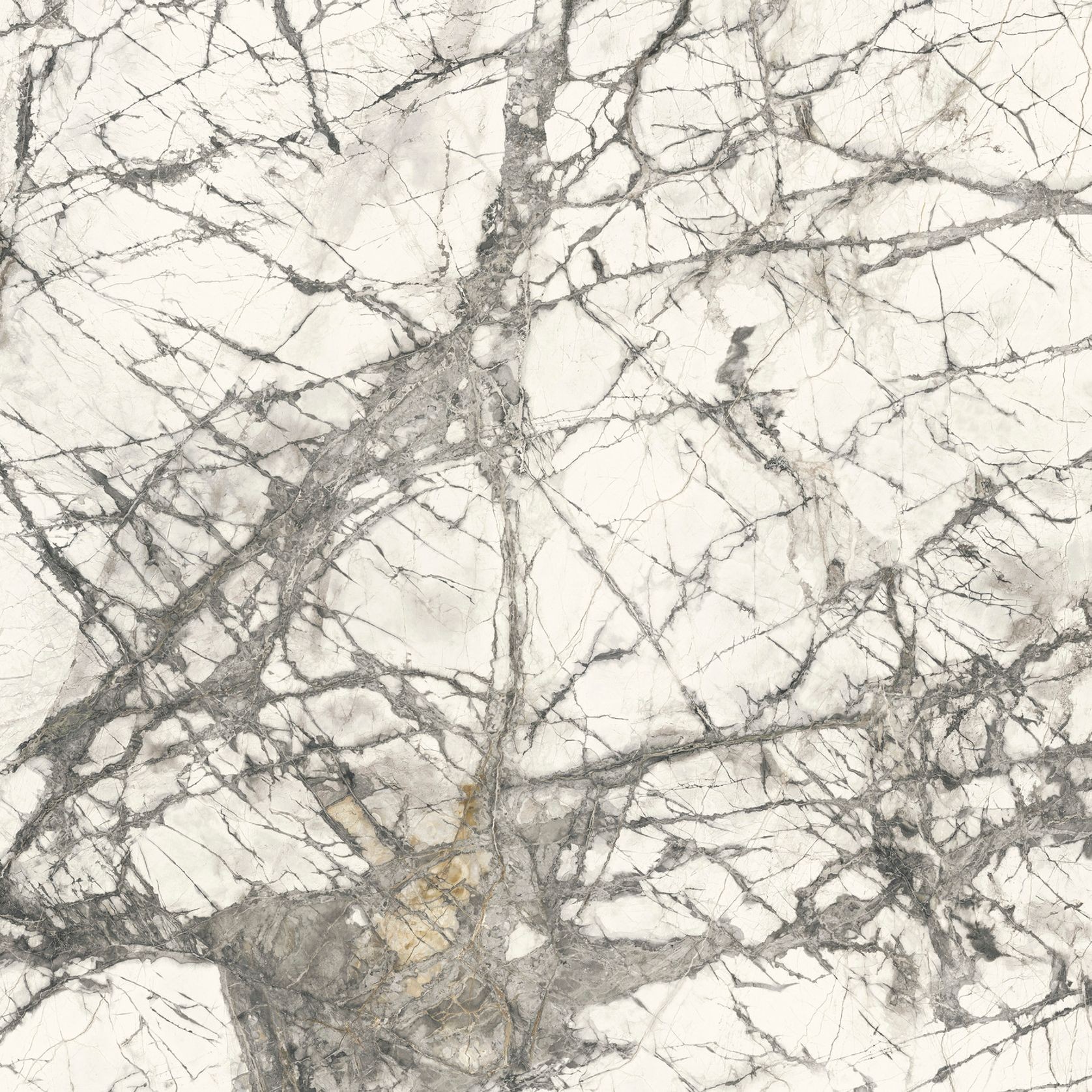 Maxfine Calacatta Grey Panels gallery detail image