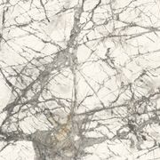 Maxfine Calacatta Grey Panels gallery detail image