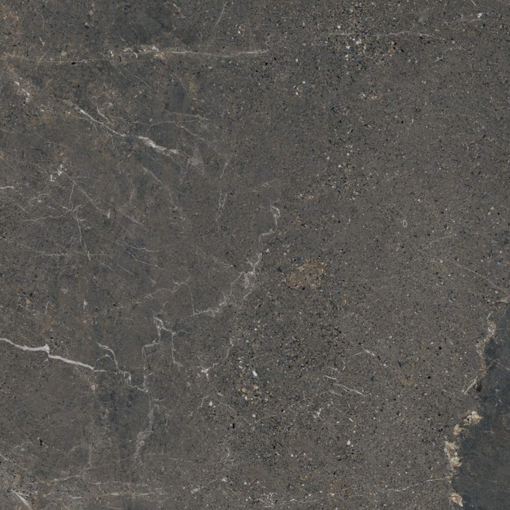 Anthology Dark | Porcelain Tiles gallery detail image