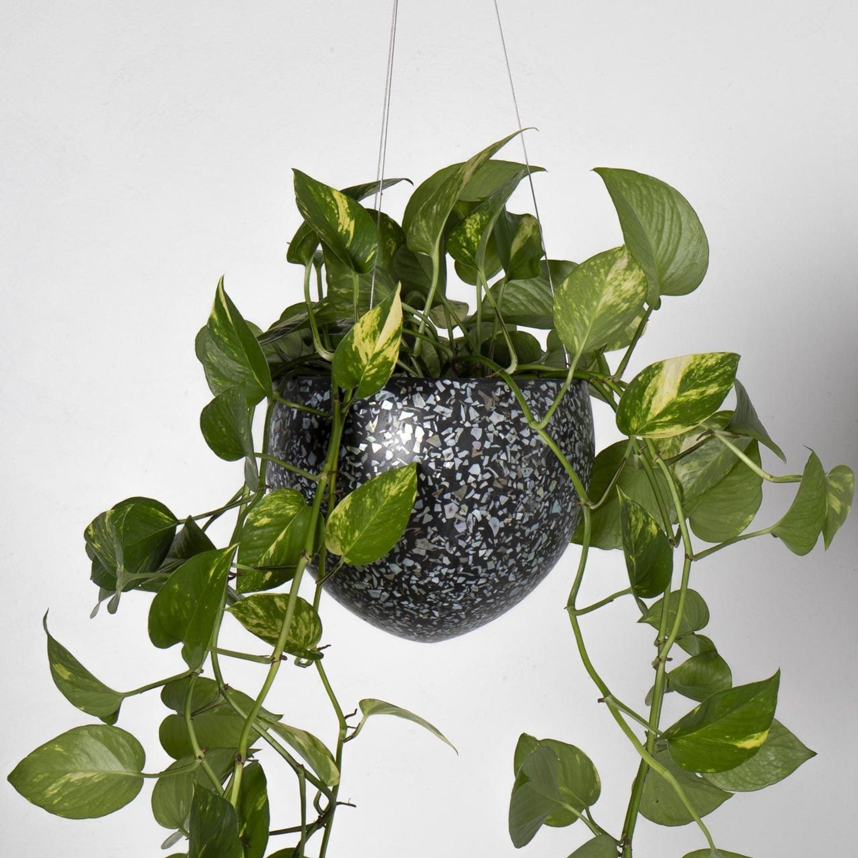 Lecce Hanger gallery detail image