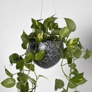 Lecce Hanger gallery detail image