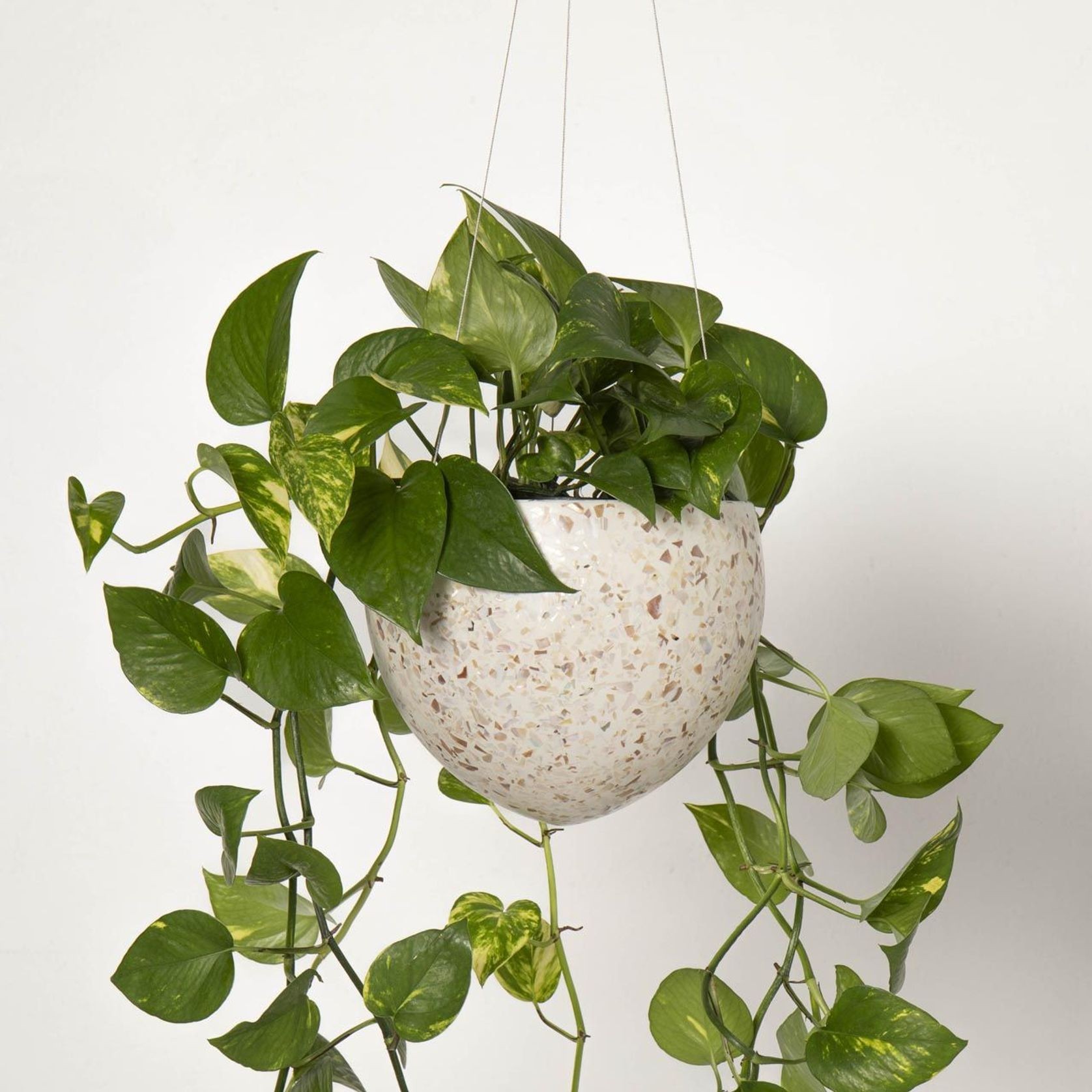 Lecce Hanger gallery detail image