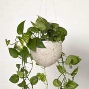 Lecce Hanger gallery detail image