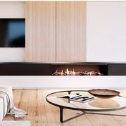LS 1500 Gas Fireplace gallery detail image