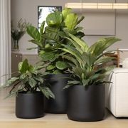 Lund Cylinder gallery detail image