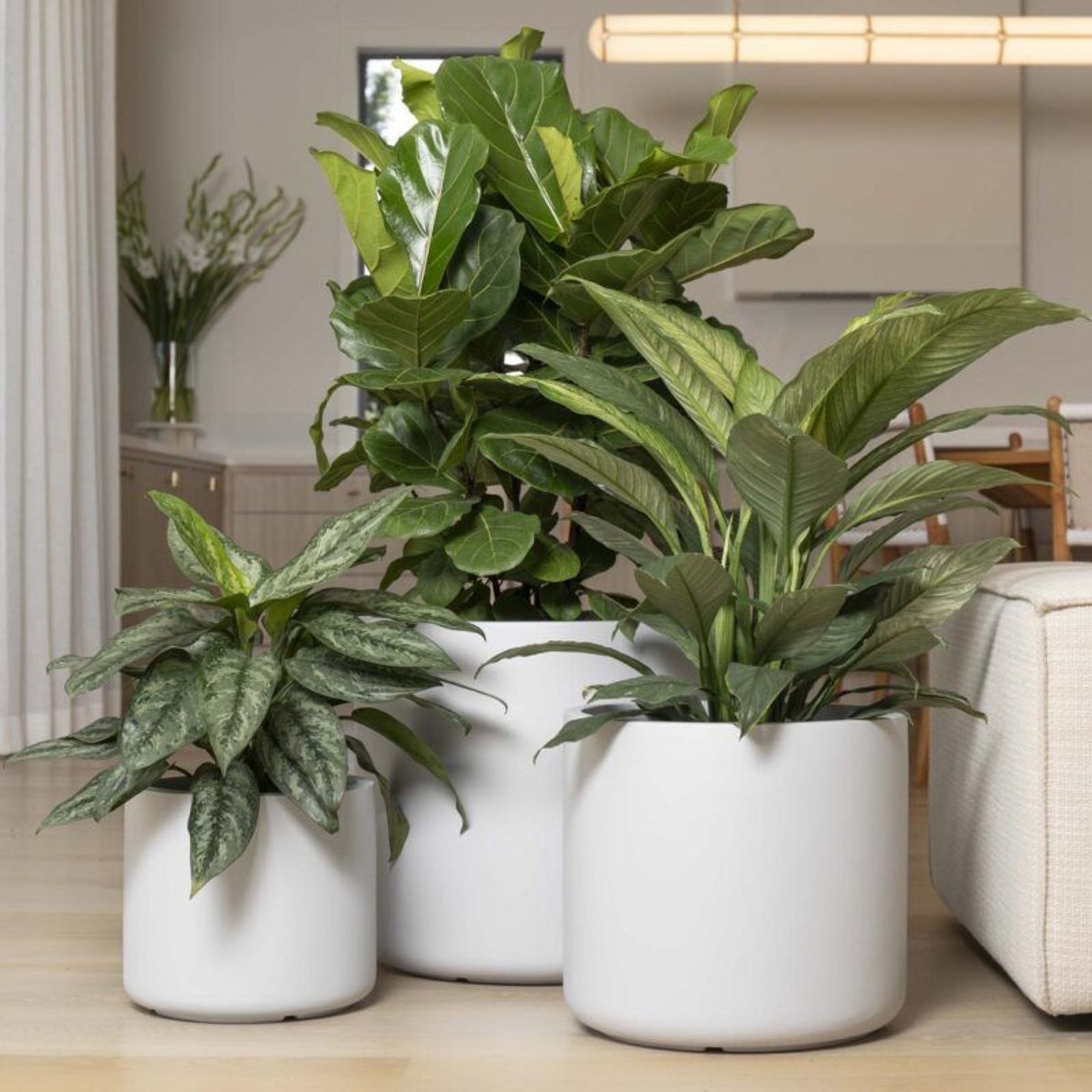 Lund Cylinder gallery detail image