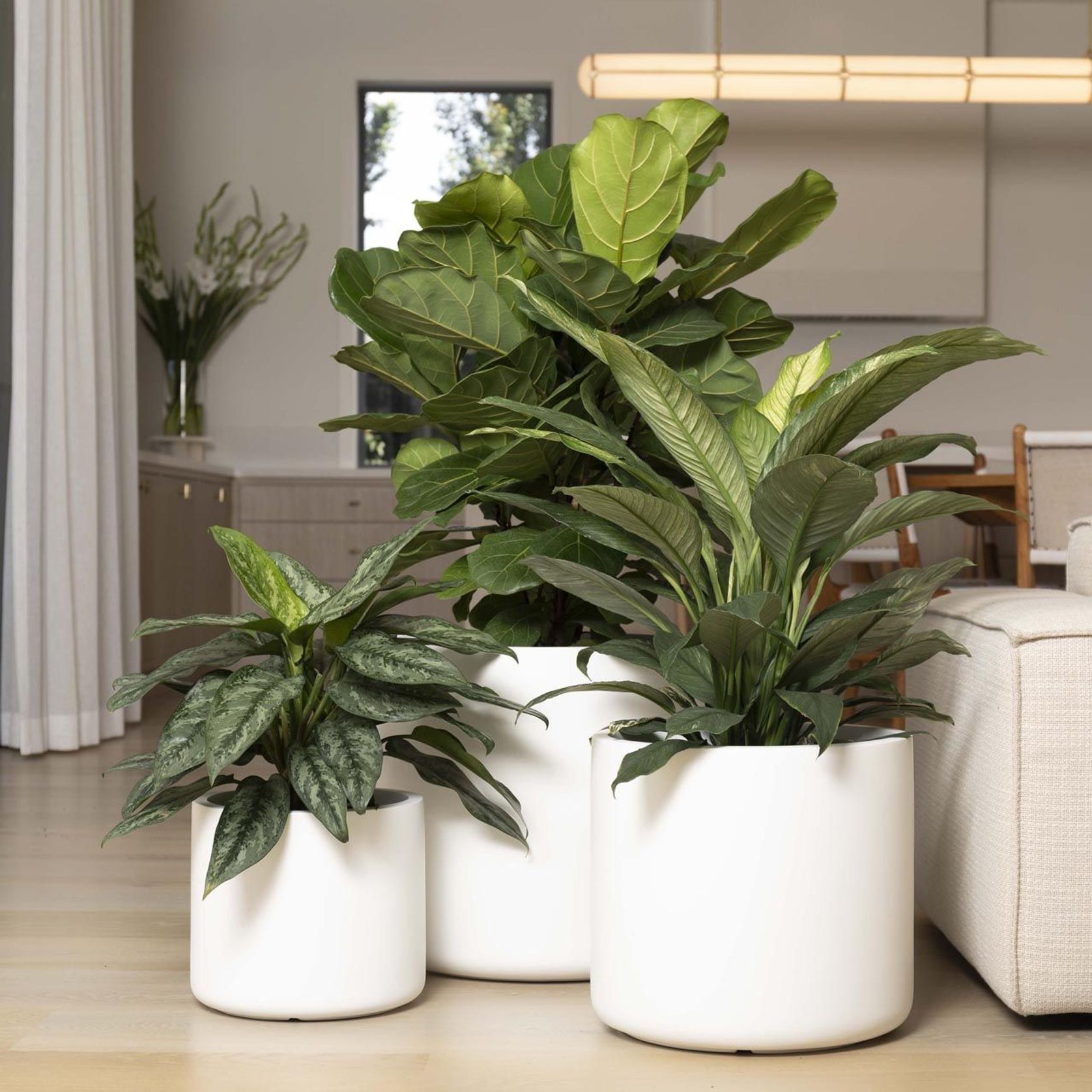 Lund Cylinder gallery detail image