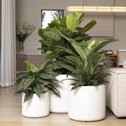 Lund Cylinder gallery detail image