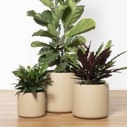 Lund Cylinder gallery detail image