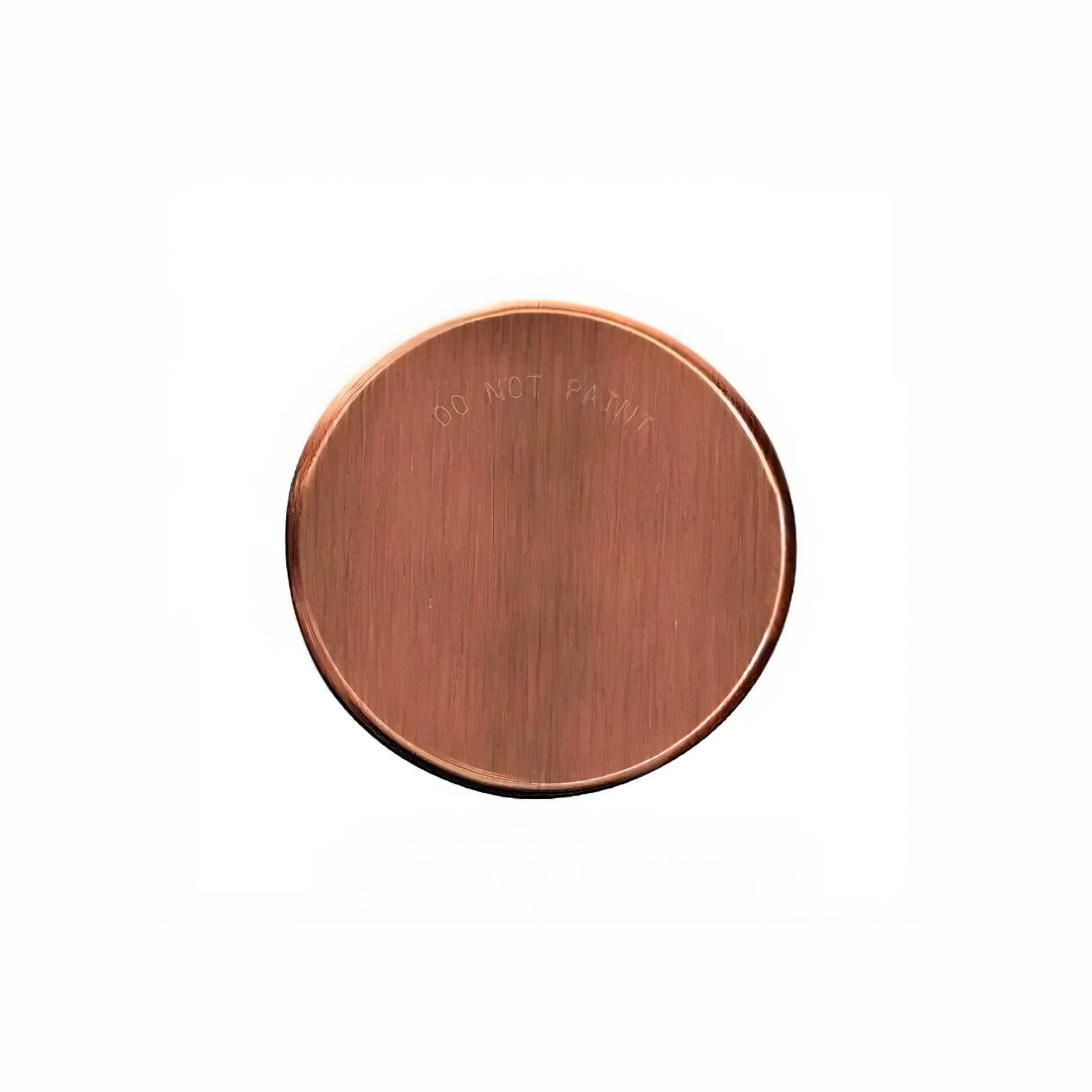 Sprinkler Cover Plate | Brushed Copper gallery detail image
