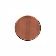 Sprinkler Cover Plate | Brushed Copper gallery detail image
