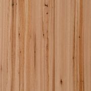 Blackbutt High Feature | Clear | Lignapal Panels gallery detail image