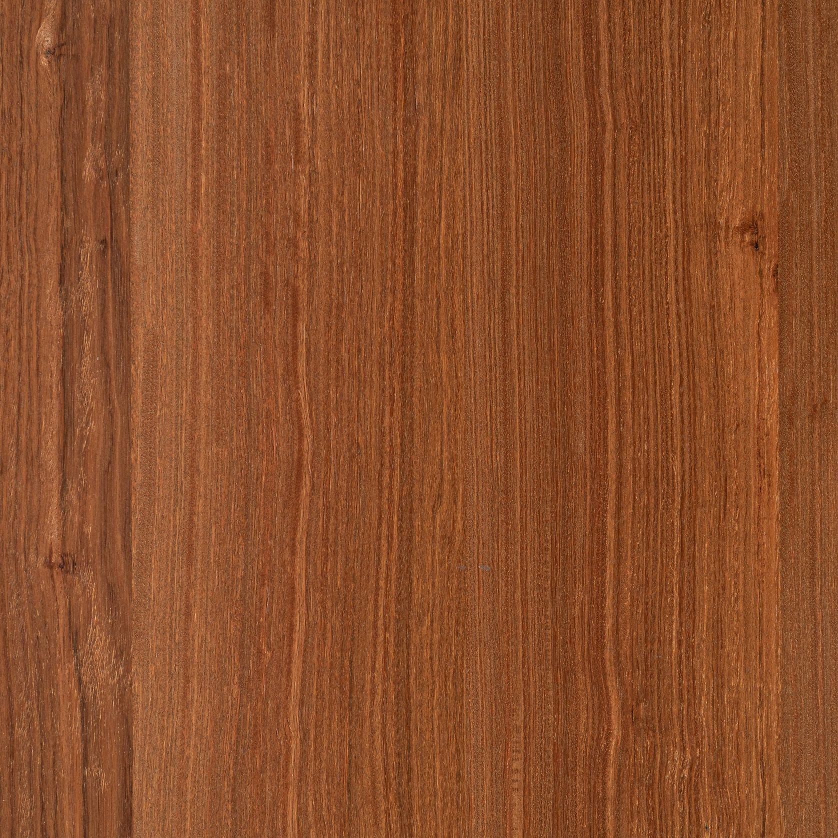 Iron Bark | Clear | Lignapal Panels gallery detail image