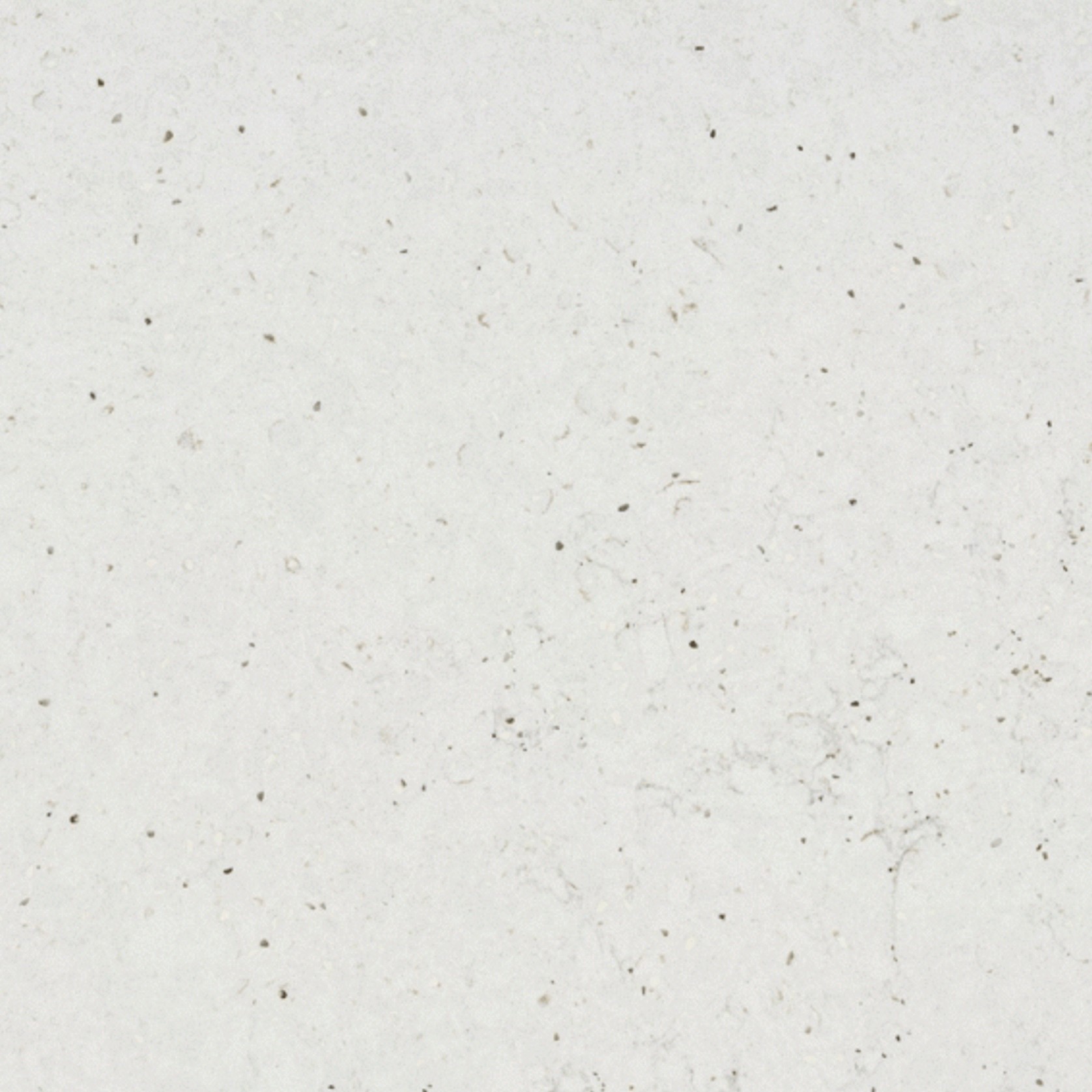 Lime Delight gallery detail image