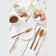 Linear PVD Copper 30 Piece Set gallery detail image