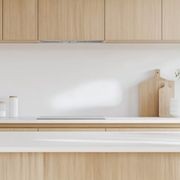 Lucia 900mm Undermount Rangehood gallery detail image