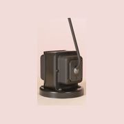 Daphine gallery detail image