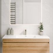 Pavia 1200 Vanity Basin Top gallery detail image