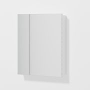 Luxe 600mm Mirror Cabinet With Demister | 2 Door gallery detail image