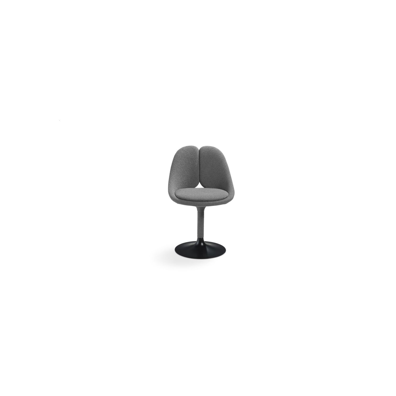 QISS
 Dining armchair in ash wood gallery detail image