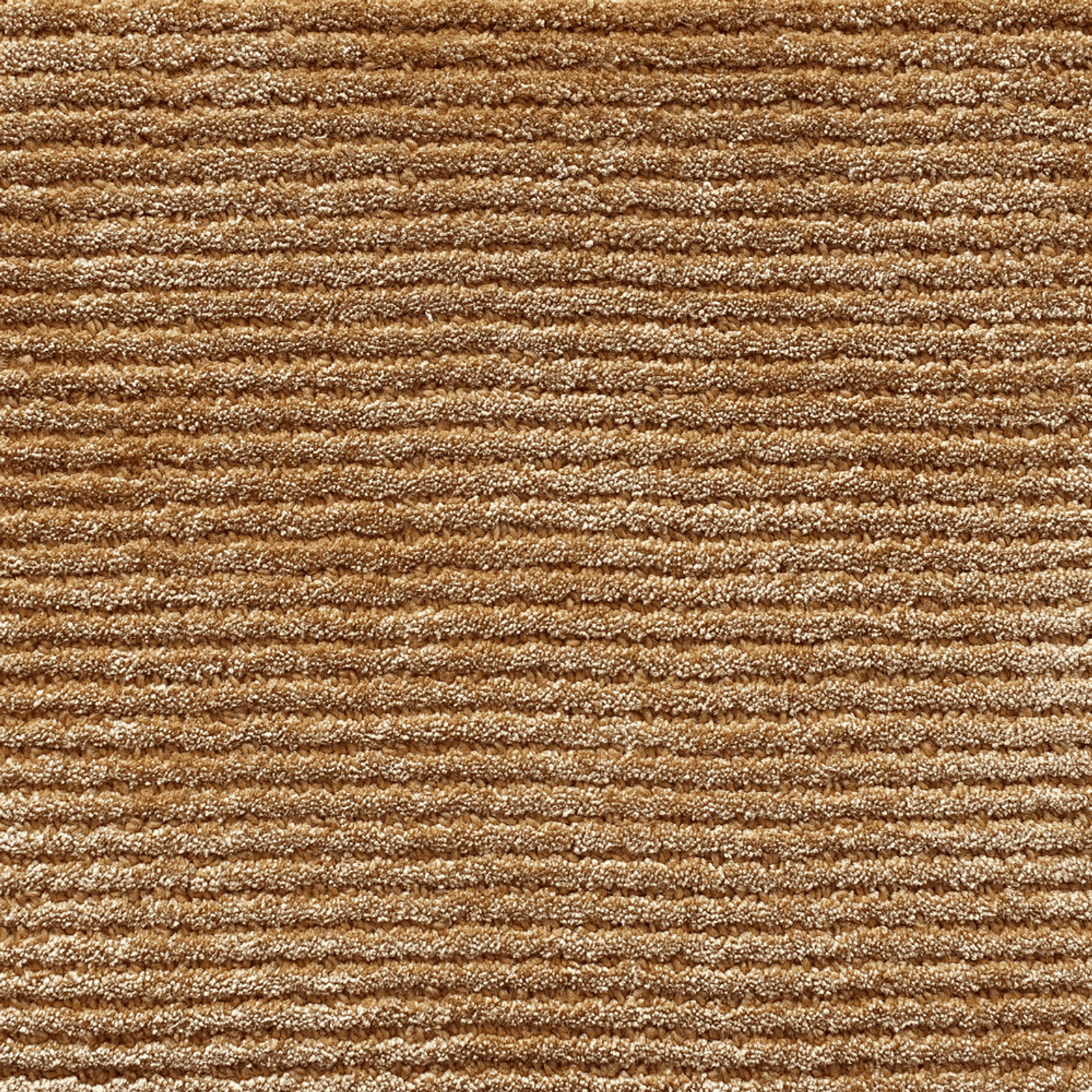 Tapis Row 1 Rug gallery detail image