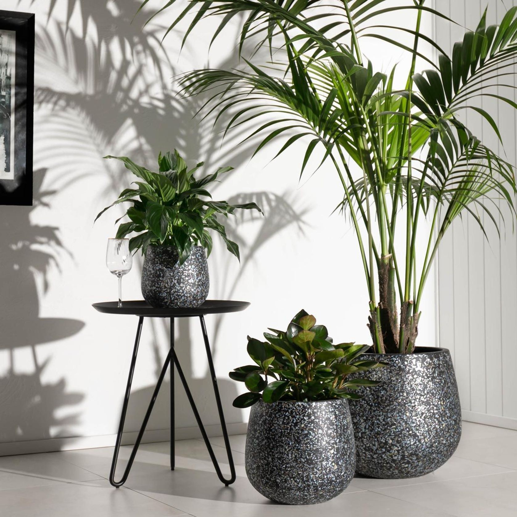 Monza Cup gallery detail image