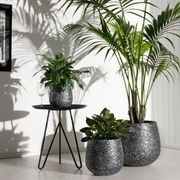 Monza Cup gallery detail image