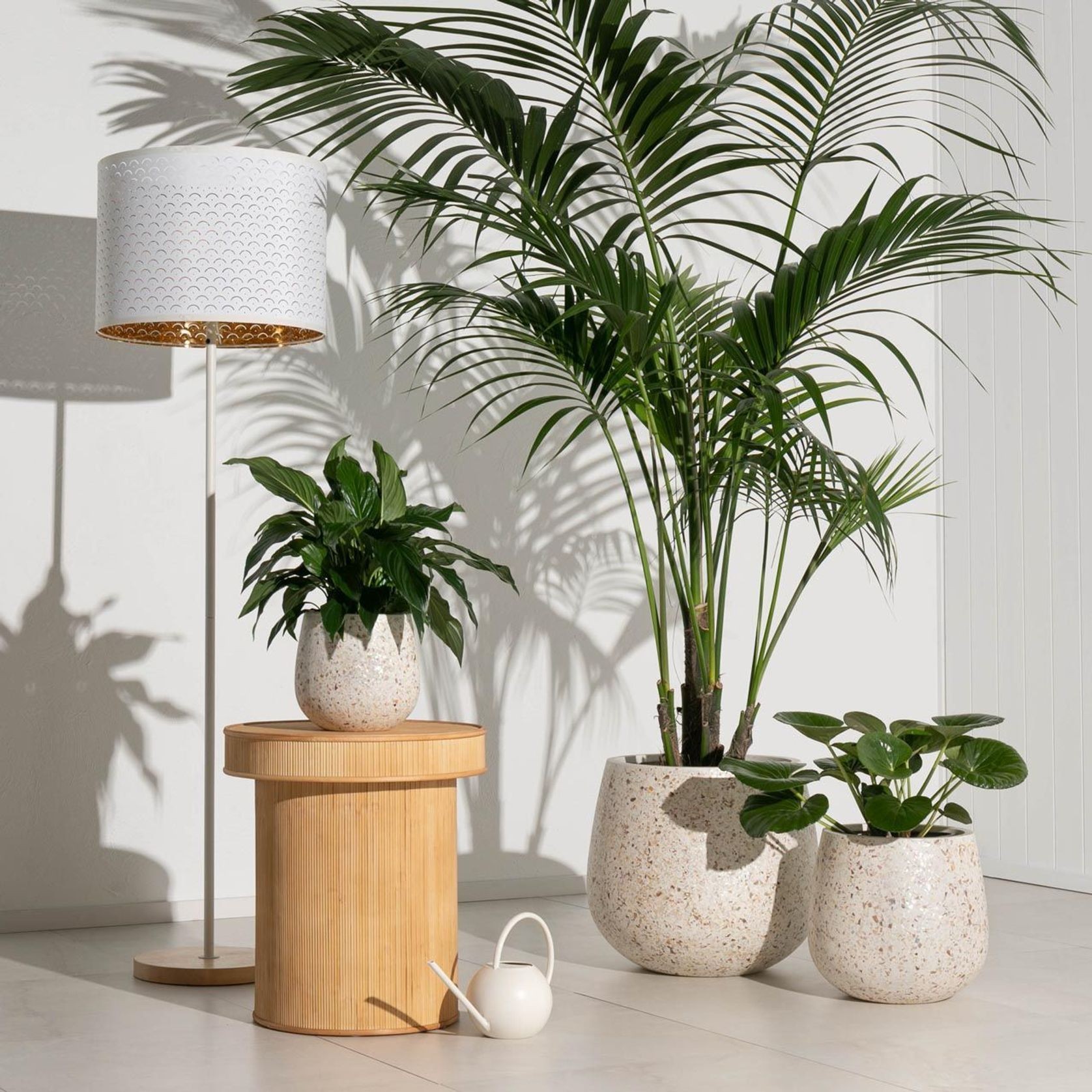 Monza Cup gallery detail image