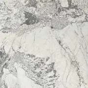 Monalisa Granite Benchtop gallery detail image