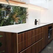Birch Décor Walnut | Panels - Plytech Panels gallery detail image