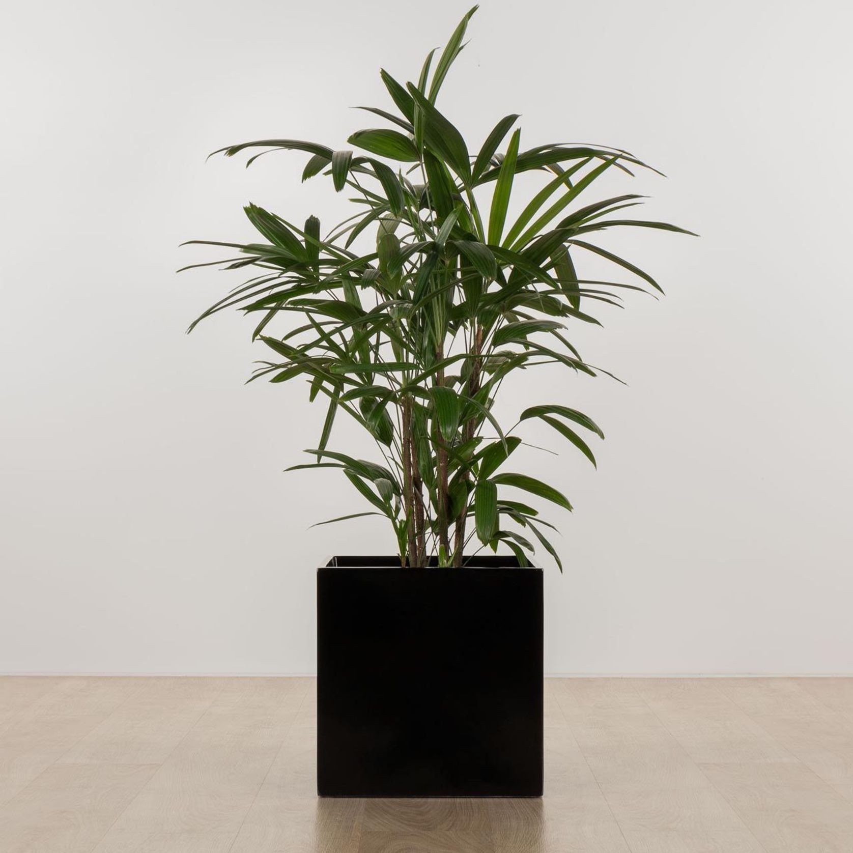 Morningside Cube gallery detail image