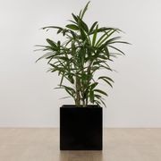 Morningside Cube gallery detail image