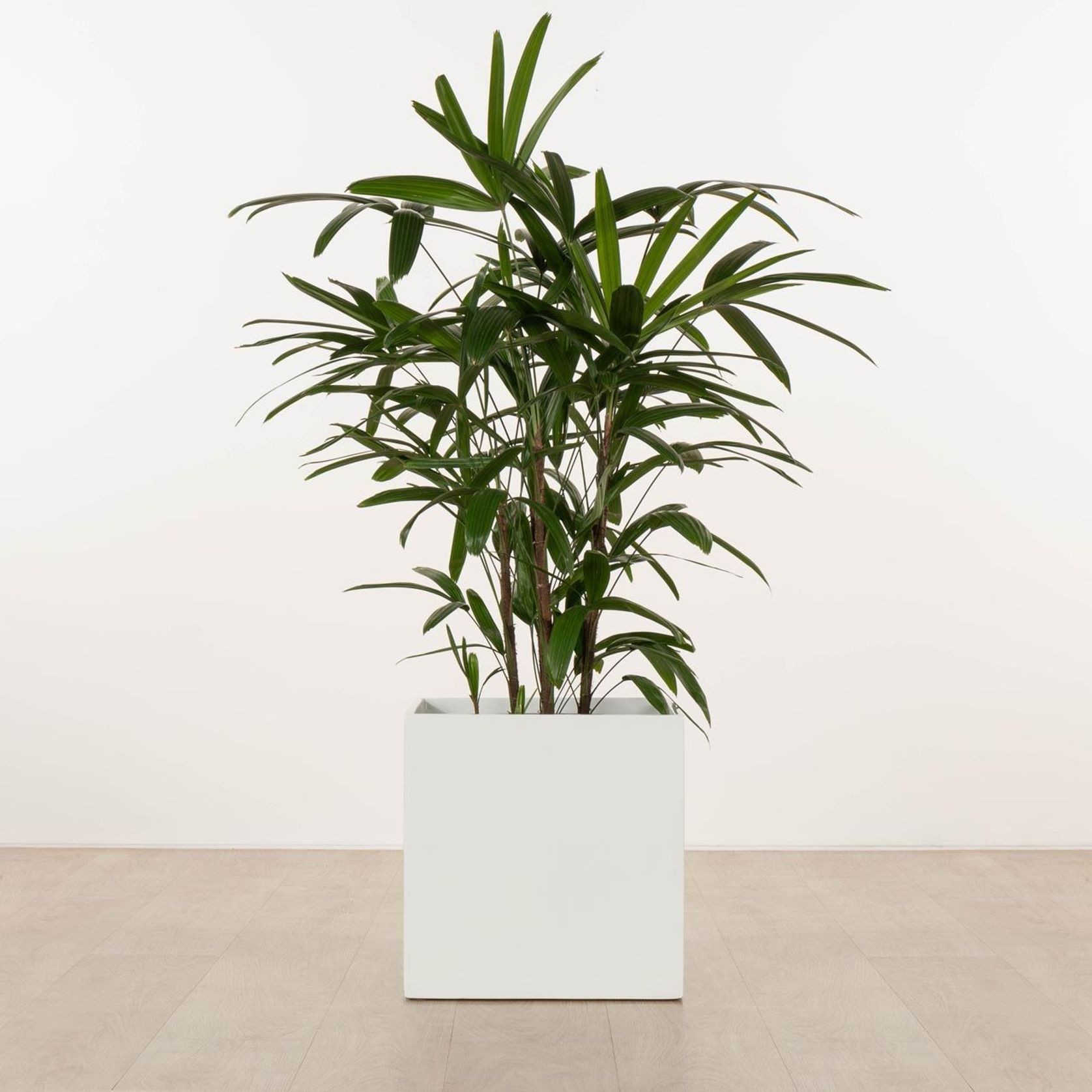 Morningside Cube gallery detail image