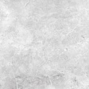 Gecko | Tundra White Tiles gallery detail image