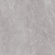 Gecko | Kiel Grigio 60 Tiles gallery detail image