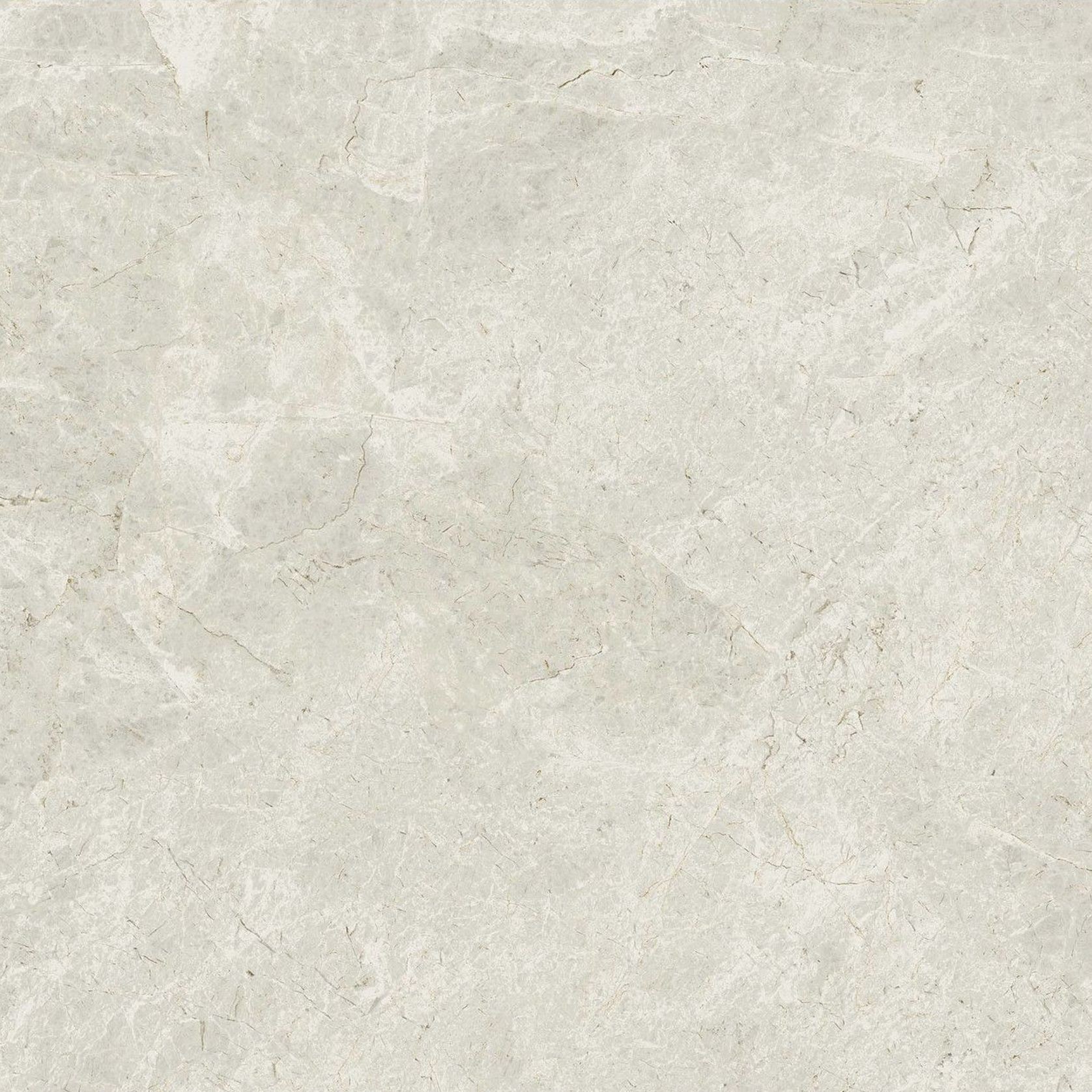 Gecko | Tundra Stone Ivory Tiles gallery detail image