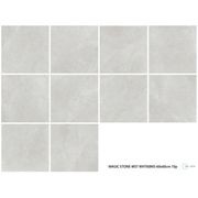 Gecko | Magic Stone White Tiles gallery detail image