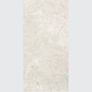Arctic Tundra Ivory Matt 60x120 gallery detail image