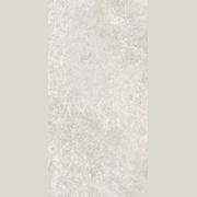 Arctic Tundra Ivory Matt 60x120 gallery detail image