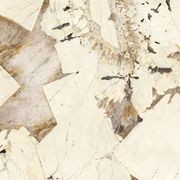 Milan Patagonia Semi-Polished 60x60 gallery detail image