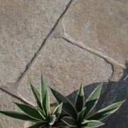 Windsor | Landscape Surfaces gallery detail image