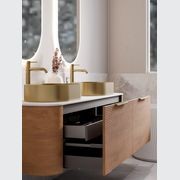 Nature 1800 Vanity | Double Inset Basin & Orchard Drawer Front gallery detail image