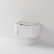 Nature 900 Vanity | Slab Top gallery detail image