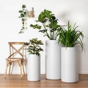 Narvik Tall Cylinder gallery detail image