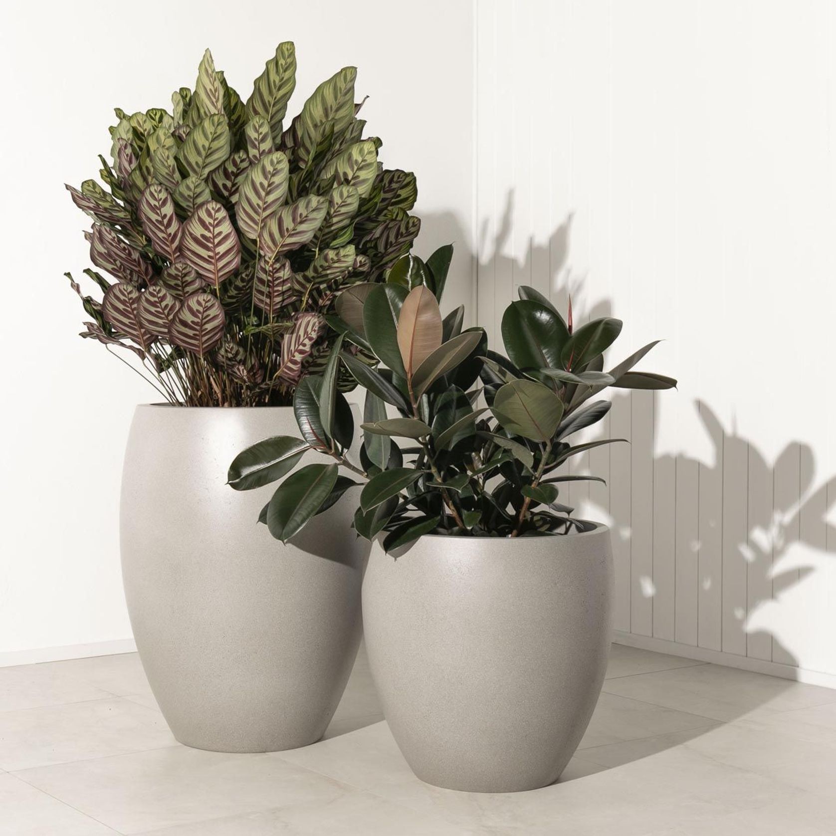 Newmarket Egg gallery detail image