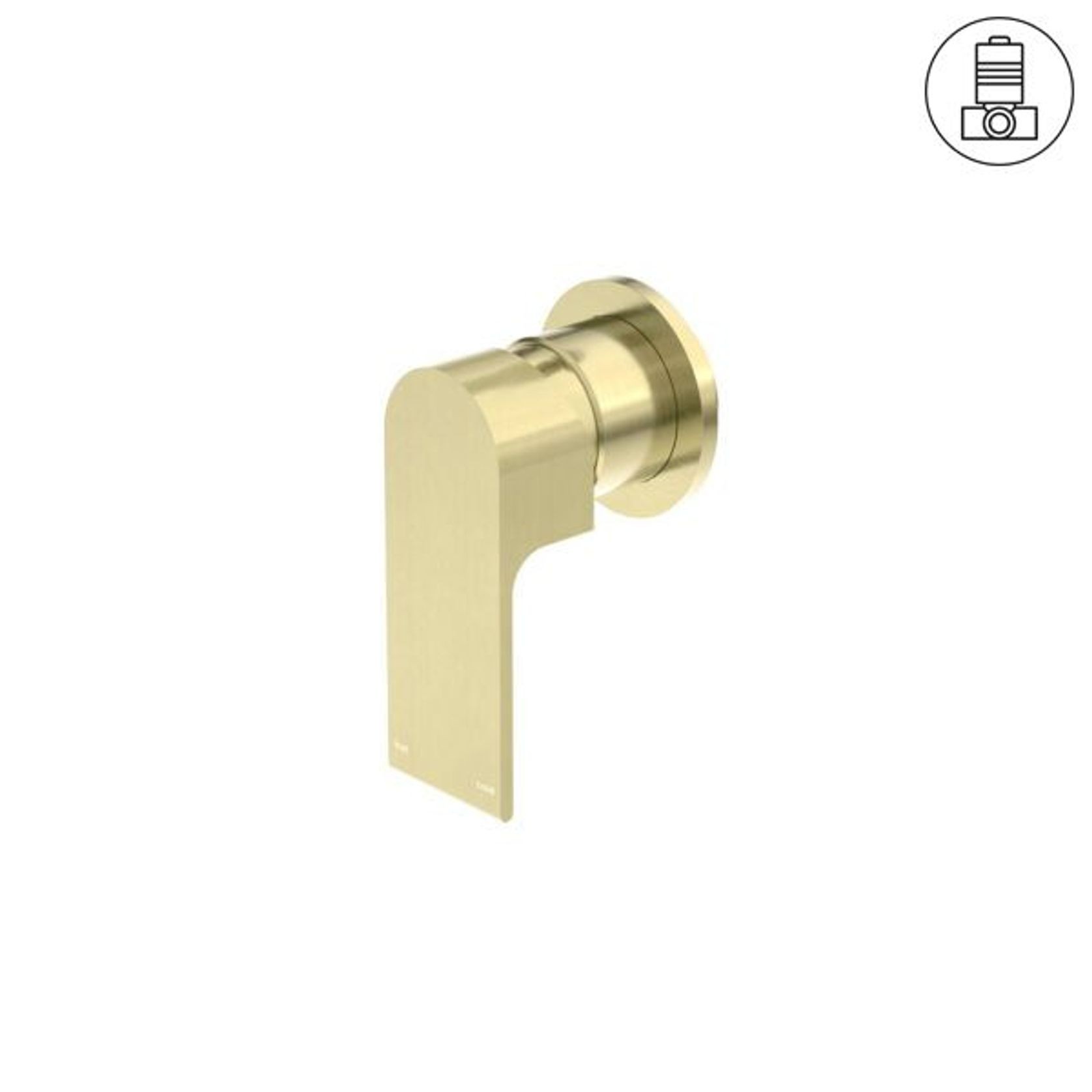 Bianca Shower Mixer 80mm Plate | Brushed Gold gallery detail image