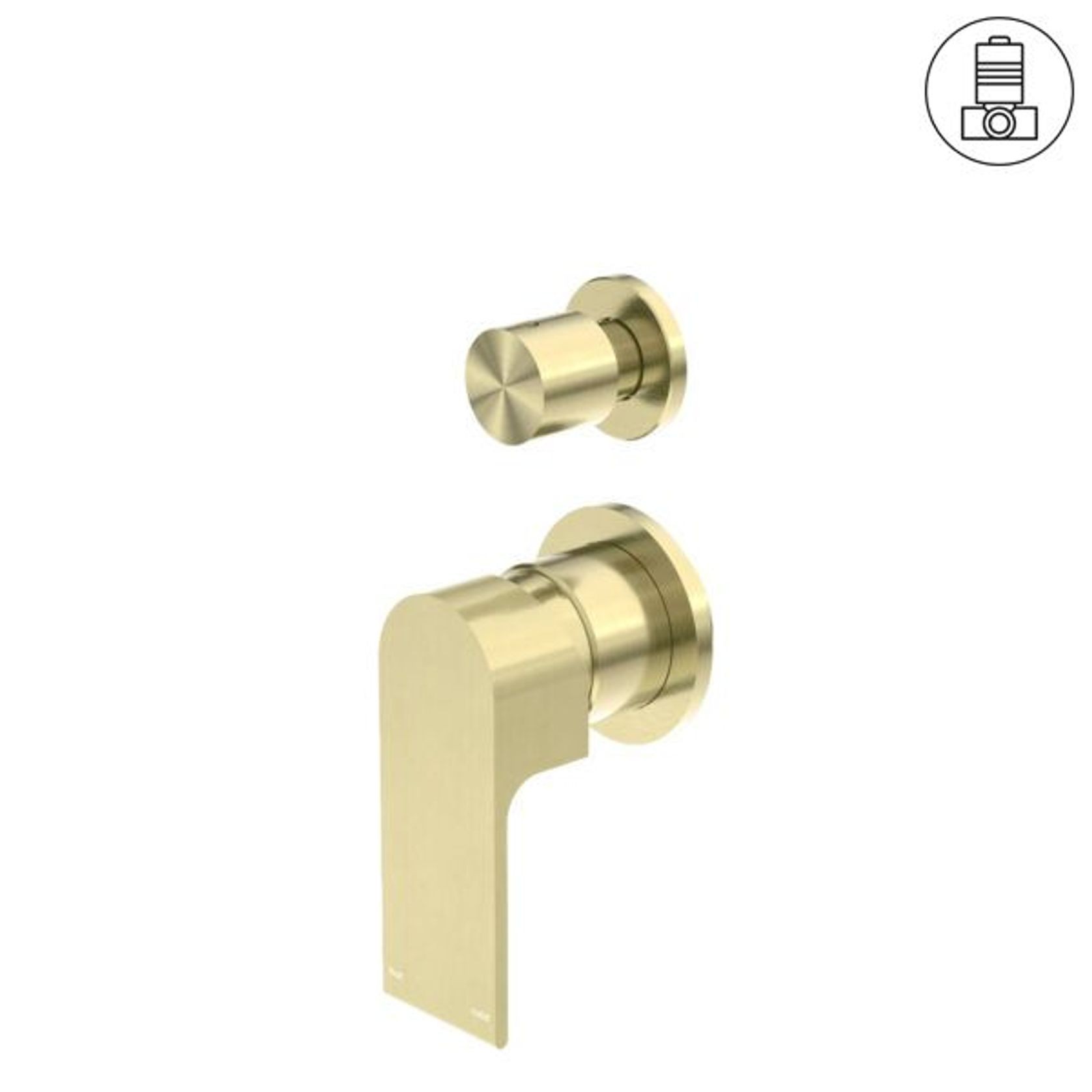 Bianca Shower Mixer & Divertor Back Plate | Brushed Gold gallery detail image