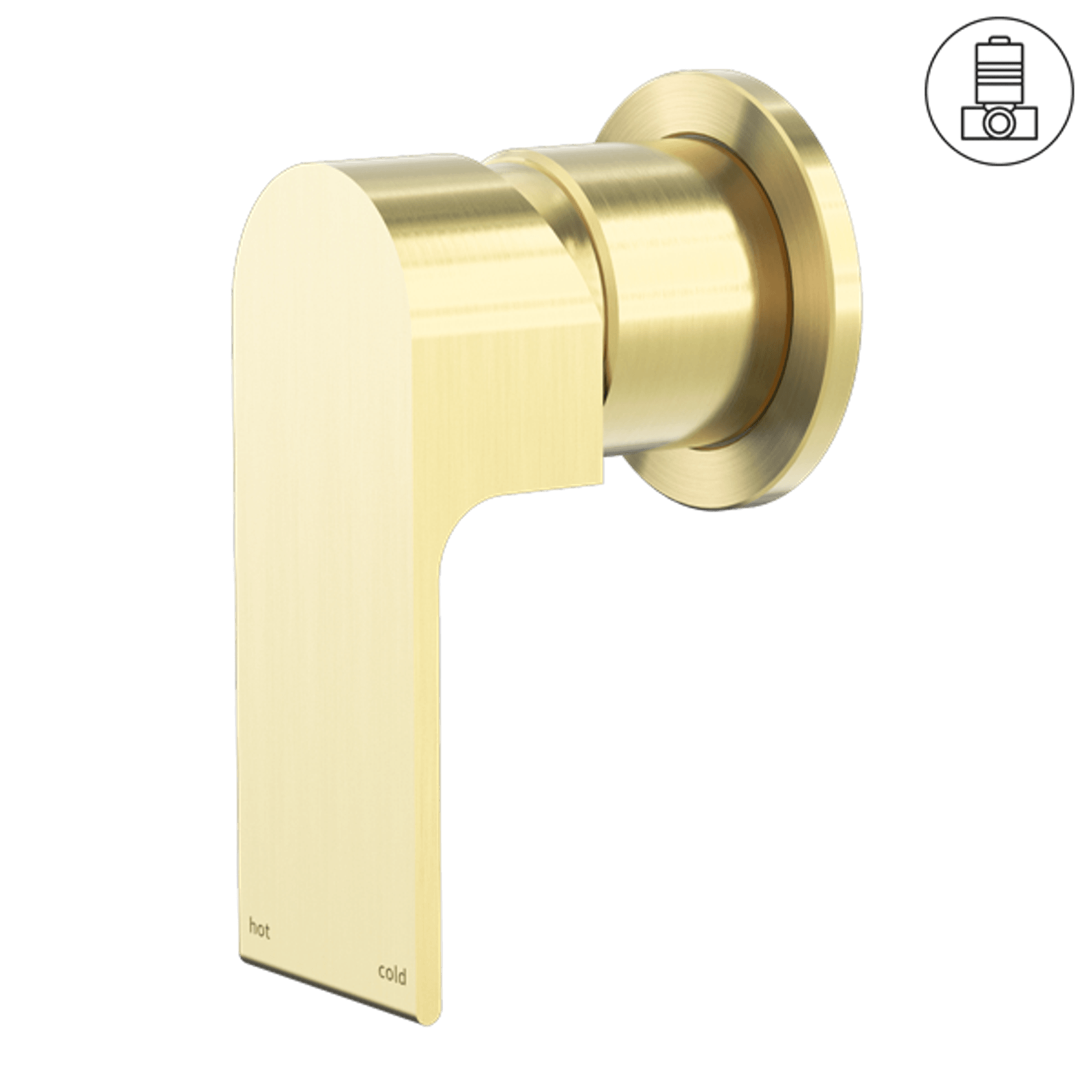 Bianca Shower Mixer 60mm Plate | Brushed Gold gallery detail image