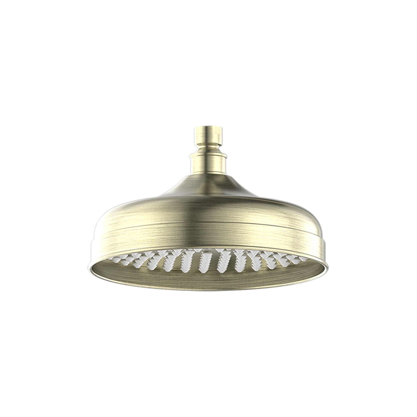 York 200mm Shower Head Aged Brass gallery detail image