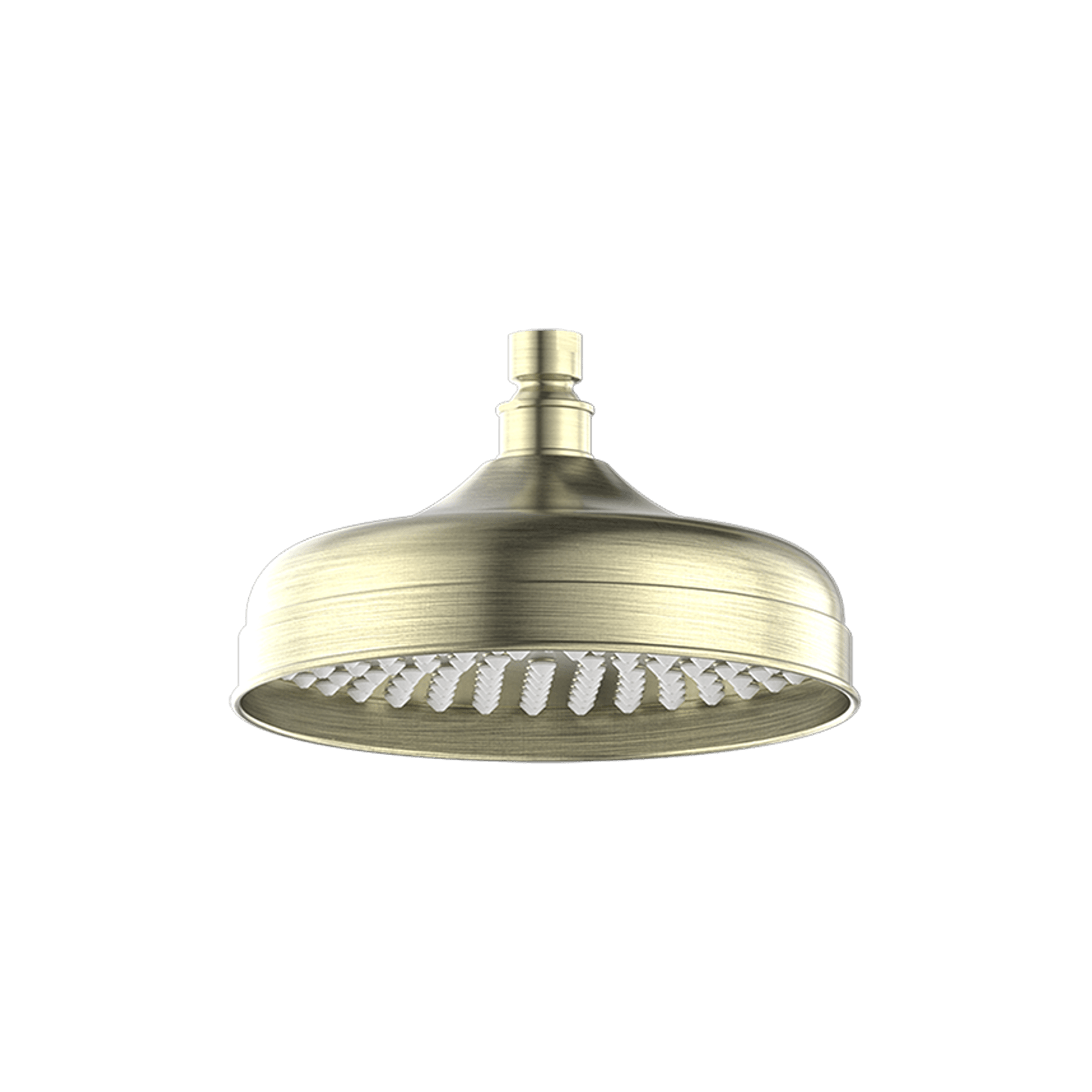 York 200mm Shower Head Aged Brass gallery detail image